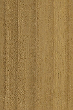 kayu cempaka (2)