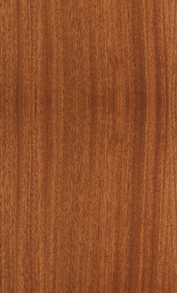 veneer kayu mahoni