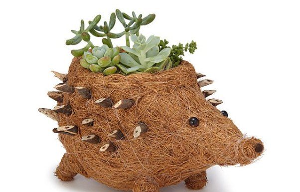 boneka sabut kelapa