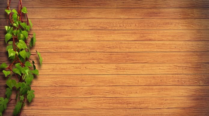 Lem Kayu ke Dinding yang Kuat untuk Ruang Lebih Cantik dinding kayu