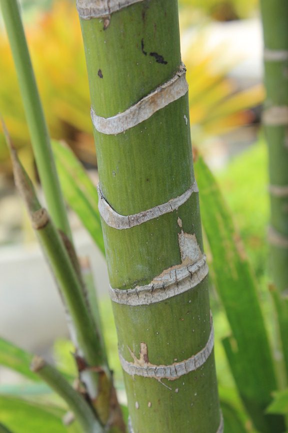 Prinsip Penyambungan Bambu