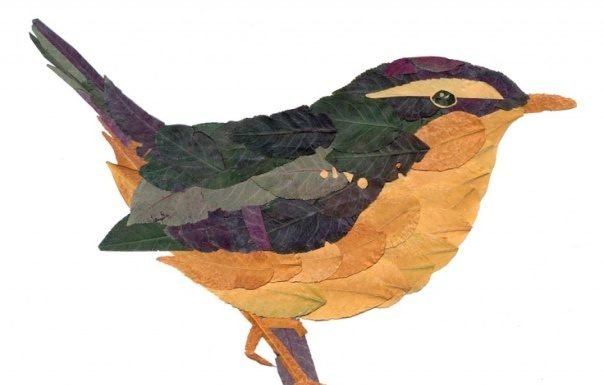 Tingkatkan Prospek Usaha Kerajinan dari Daun Kering Anda dengan Eva Phaethon hiasan daun kering