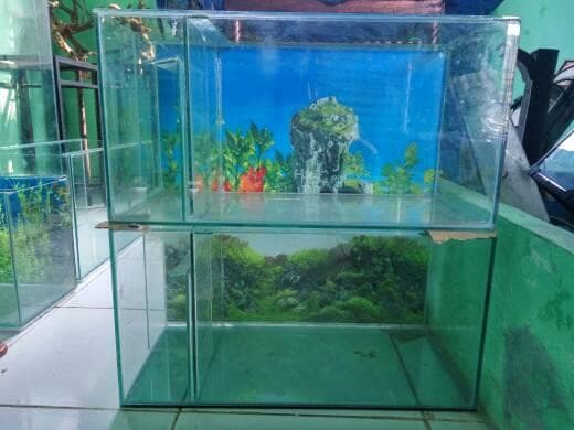 aquarium sederhana