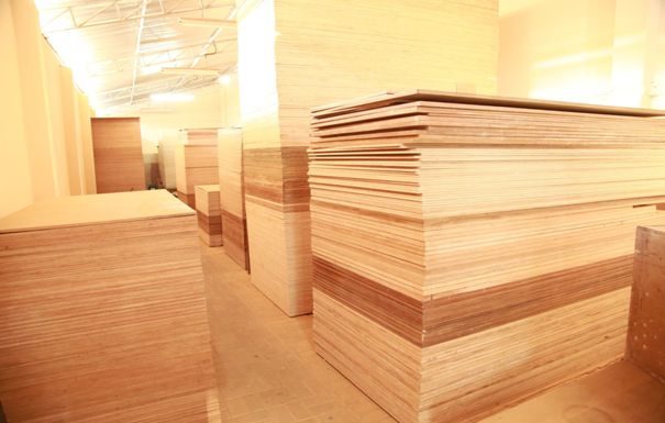 kayu lapis