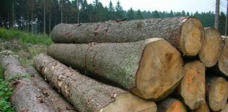 kayu log