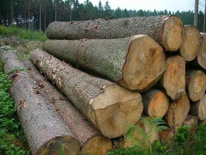 kayu log