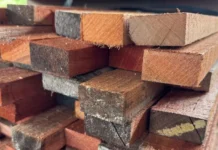 kayu meranti
