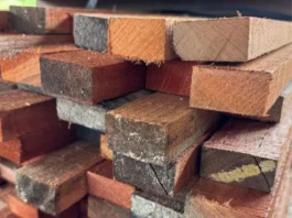 kayu meranti