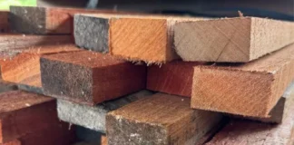 kayu meranti