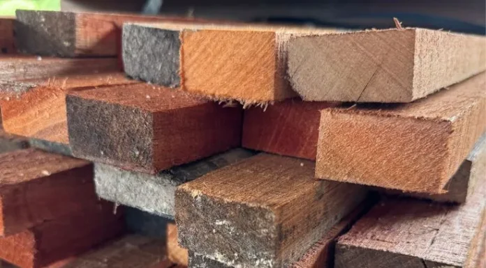 kayu meranti