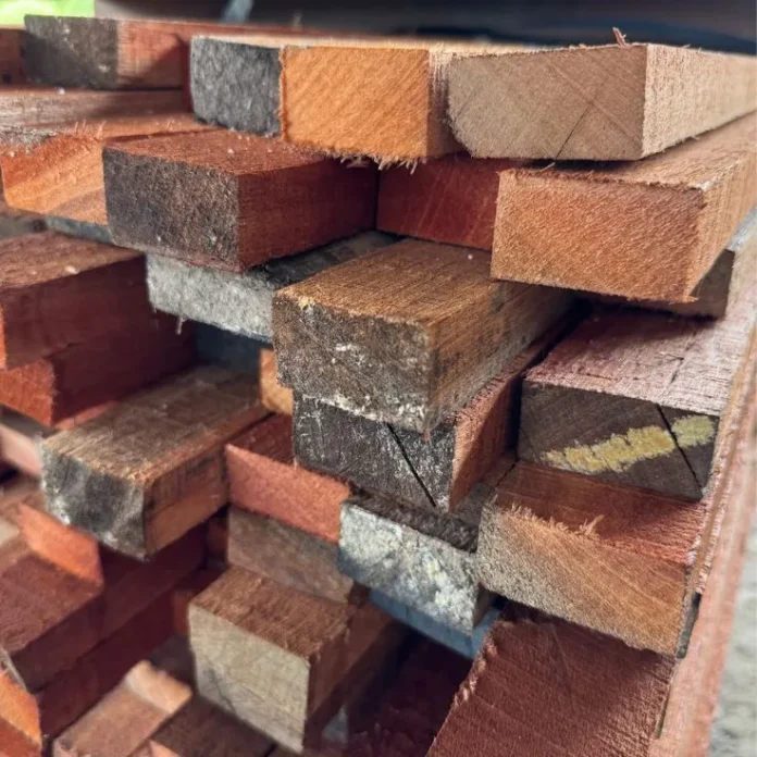 kayu meranti