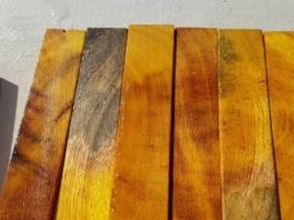 keindahan kayu nangka