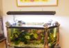 model meja aquarium